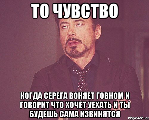 то чувство Когда серега воняет говном и говорит что хочет уехать и ты будешь сама извинятся, Мем твое выражение лица