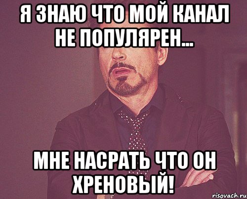 Я знаю что мой канал не популярен... Мне насрать что он хреновый!, Мем твое выражение лица