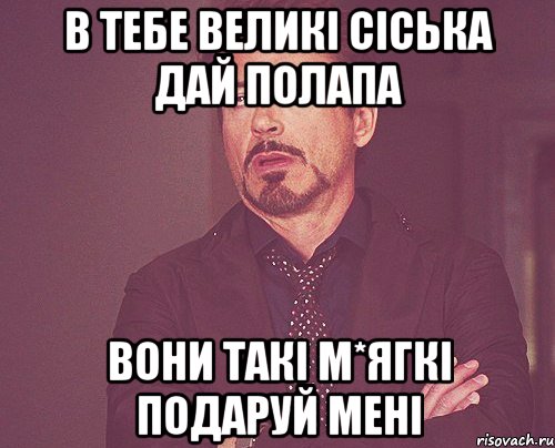 В ТЕБЕ ВЕЛИКІ СІСЬКА ДАЙ ПОЛАПА ВОНИ ТАКІ М*ЯГКІ ПОДАРУЙ МЕНІ, Мем твое выражение лица