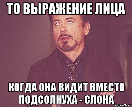 То выражение лица когда она видит вместо подсолнуха - слона, Мем твое выражение лица