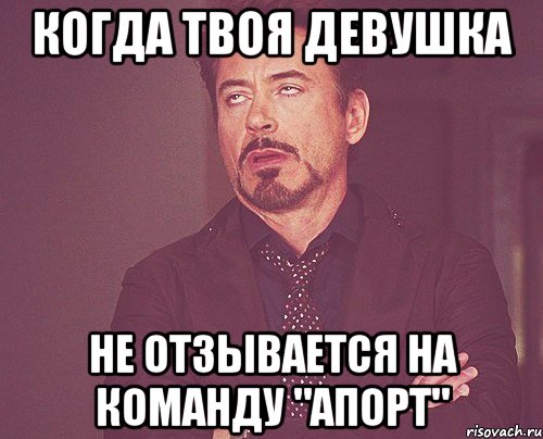 когда твоя девушка не отзывается на команду "апорт", Мем твое выражение лица