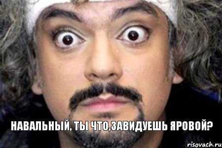 Навальный, ты что,завидуешь Яровой?