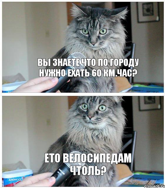 вы знаете что по городу нужно ехать 60 км.час? ето велосипедам чтоль?, Комикс  кот с микрофоном