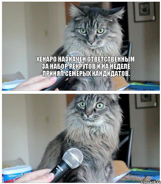 Хенаро назначен ответственным за набор рекрутов и на неделе принял семерых кандидатов. , Комикс  кот с микрофоном