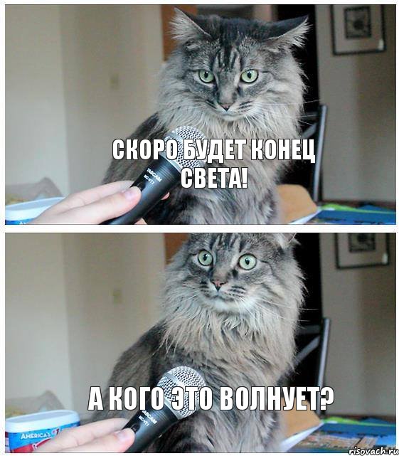 Скоро будет конец света! А кого это волнует?, Комикс  кот с микрофоном