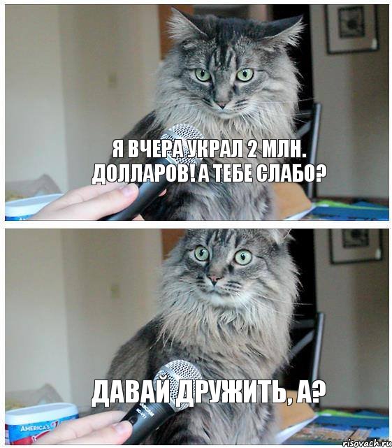 Я вчера украл 2 млн. долларов! А тебе слабо? Давай дружить, а?, Комикс  кот с микрофоном