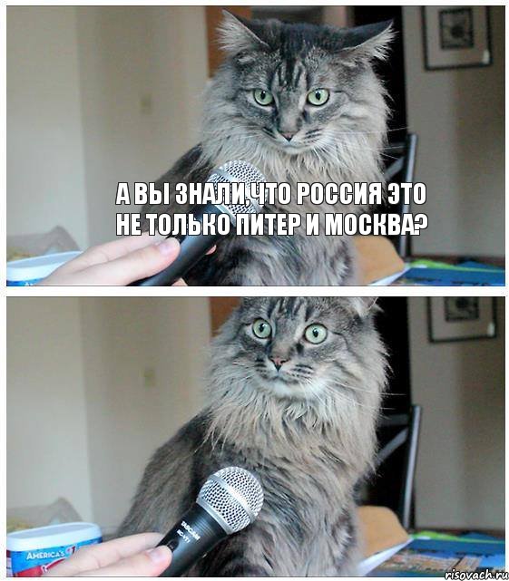 А вы знали,что Россия это не только Питер и Москва? , Комикс  кот с микрофоном