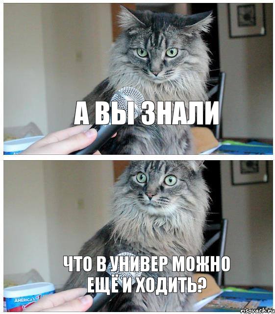 а вы знали что в универ можно ещё и ходить?, Комикс  кот с микрофоном