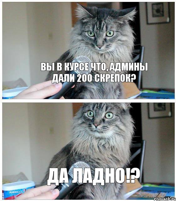 Вы в курсе что, админы дали 200 скрепок? Да ладно!?, Комикс  кот с микрофоном