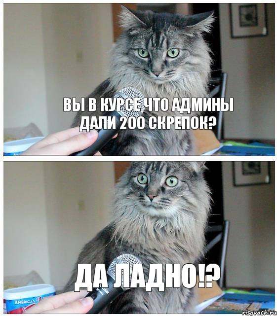 Вы в курсе что админы дали 200 скрепок? Да ладно!?, Комикс  кот с микрофоном