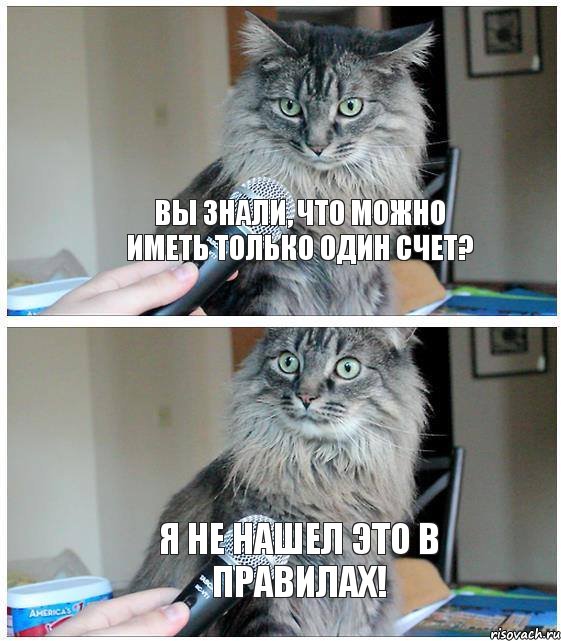 Вы знали, что можно иметь только один счет? Я не нашел это в Правилах!, Комикс  кот с микрофоном