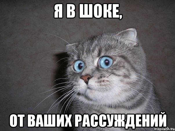 я в шоке, от ваших рассуждений