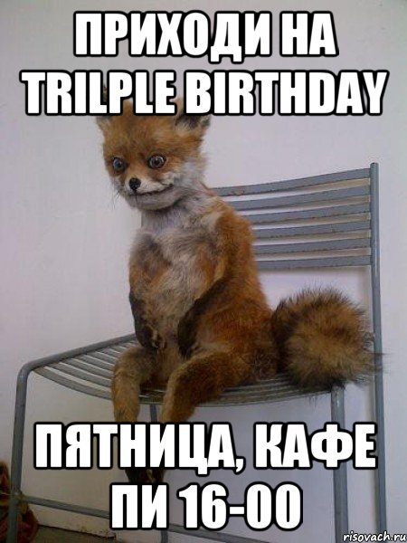 Приходи на Trilple Birthday Пятница, кафе Пи 16-00, Мем Упоротая лиса