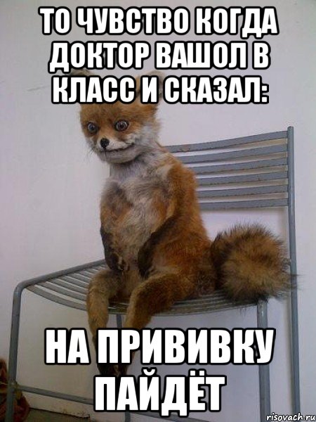 то чувство когда доктор вашол в класс и сказал: на прививку пайдёт, Мем Упоротая лиса