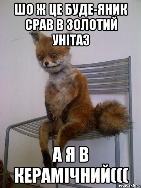 шо ж це буде-Яник срав в золотий унітаз а я в керамічний(((, Мем Упоротая лиса