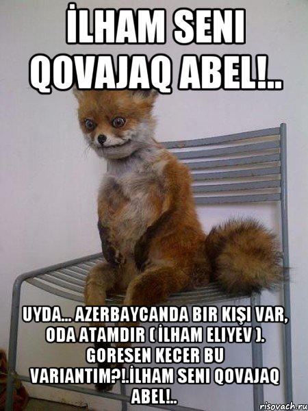 İlham seni qovajaq Abel!.. Uyda... Azerbaycanda bir kişi var, oda atamdir ( İlham Eliyev ). Goresen kecer bu variantim?!.İlham seni qovajaq Abel!.., Мем Упоротая лиса