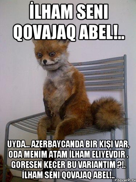 İlham seni qovajaq Abel!.. Uyda... Azerbaycanda bir kişi var, oda menim atam İlham Eliyevdir . Goresen kecer bu variantim ?!. İlham seni qovajaq Abel!.., Мем Упоротая лиса