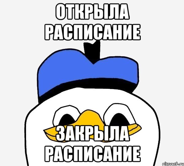 Открыла расписание закрыла расписание, Мем Утка