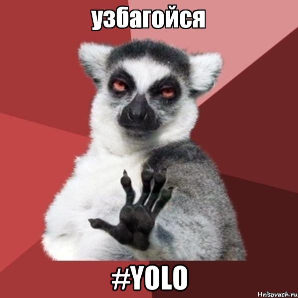  #YOLO, Мем Узбагойзя