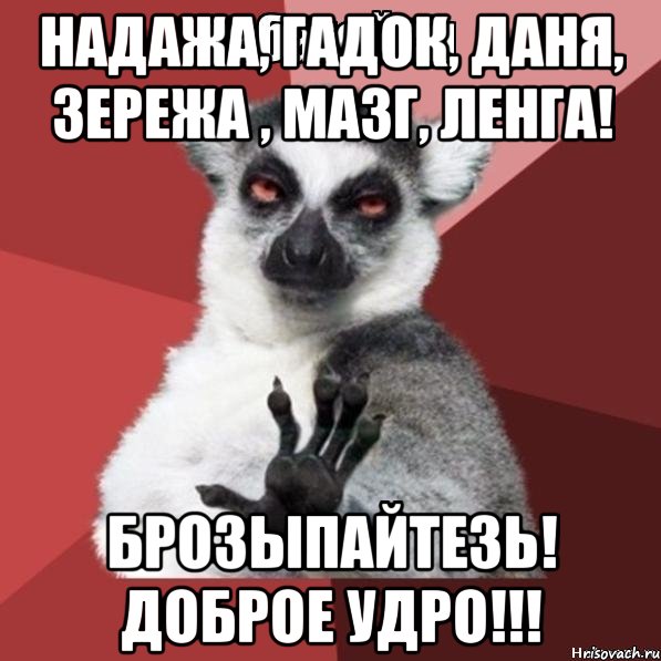 Надажа, Гадок, Даня, Зережа , Мазг, Ленга! Брозыпайтезь! Доброе удро!!!, Мем Узбагойзя