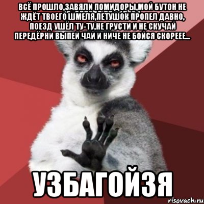 ВСЁ ПРОШЛО,ЗАВЯЛИ ПОМИДОРЫ,МОЙ БУТОН НЕ ЖДЁТ ТВОЕГО ШМЕЛЯ,ПЕТУШОК ПРОПЕЛ ДАВНО, ПОЕЗД УШЁЛ ТУ-ТУ,НЕ ГРУСТИ И НЕ СКУЧАЙ ПЕРЕДЁРНИ ВЫПЕЙ ЧАЙ И НИЧЕ НЕ БОЙСЯ СКОРЕЕЕ... УЗБАГОЙЗЯ, Мем Узбагойзя