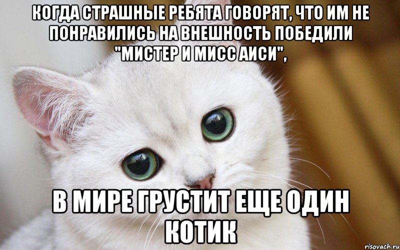 Когда страшные ребята говорят, что им не понравились на внешность победили "Мистер и Мисс АИСИ", в мире грустит еще один котик