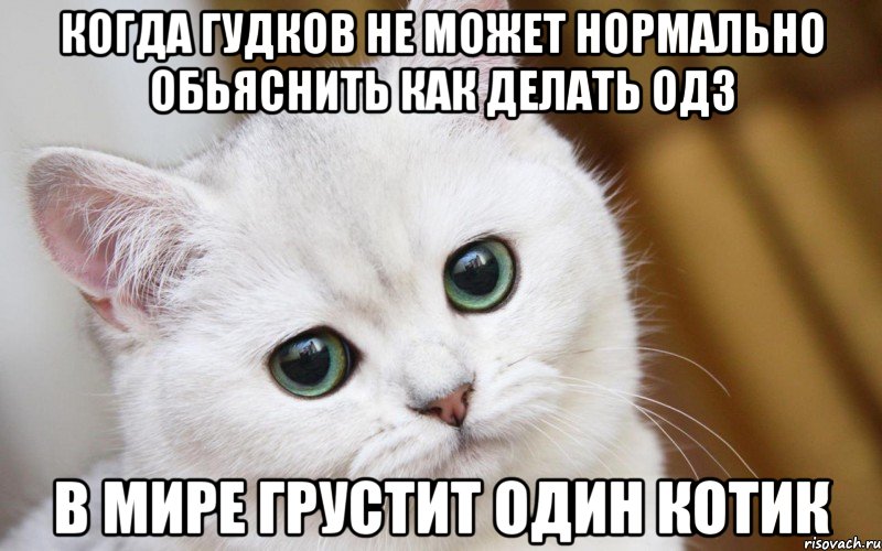 когда Гудков не может нормально обьяснить как делать ОДЗ в мире грустит один котик