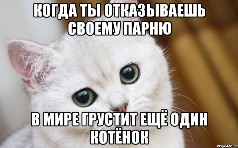 когда ты отказываешь своему парню в мире грустит ещё один котёнок, Мем  В мире грустит один котик