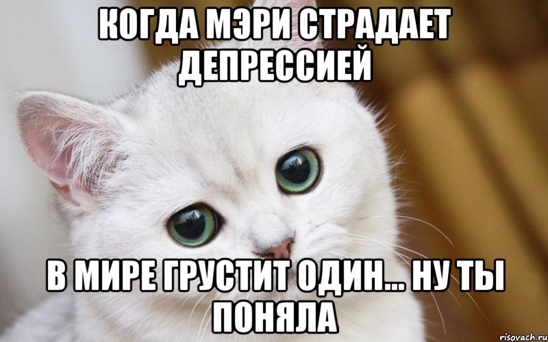 когда мэри страдает депрессией в мире грустит один... ну ты поняла, Мем  В мире грустит один котик