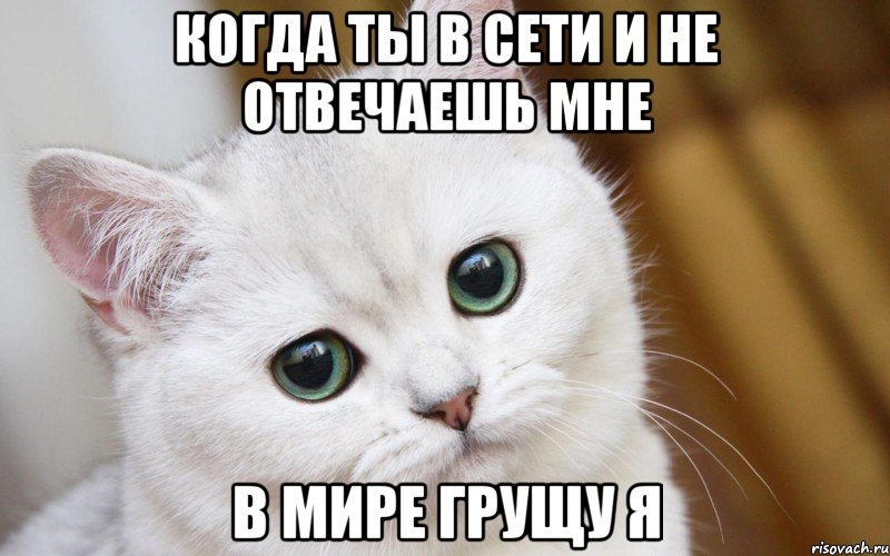 КОГДА ТЫ В СЕТИ И НЕ ОТВЕЧАЕШЬ МНЕ В МИРЕ ГРУЩУ Я, Мем  В мире грустит один котик