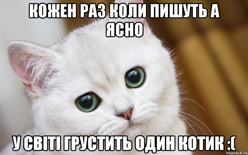 кожен раз коли пишуть а ясно у світі грустить один котик :(, Мем  В мире грустит один котик