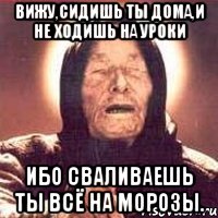 вижу,сидишь ты дома,и не ходишь на уроки ибо сваливаешь ты всё на морозы., Мем Ванга (цвет)