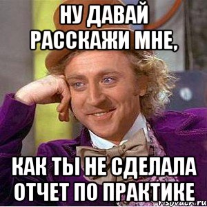 Ну давай расскажи мне, как ты не сделала отчет по практике, Мем Ну давай расскажи (Вилли Вонка)