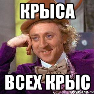 Крыса всех крыс, Мем Ну давай расскажи (Вилли Вонка)