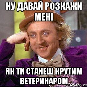 ну давай розкажи мені як ти станеш крутим ветеринаром, Мем Ну давай расскажи (Вилли Вонка)