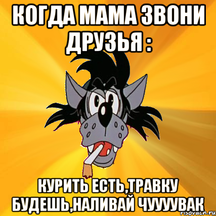 Когда мама звони друзья : Курить есть,травку будешь,наливай чуууувак, Мем Волк