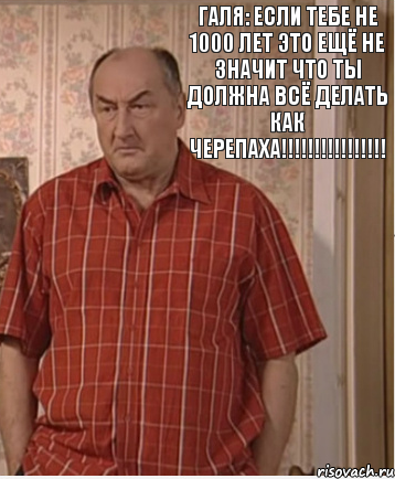 Галя: если тебе не 1000 лет это ещё не значит что ты должна всё делать как черепаха!!!!!!!!!!!!!!!!