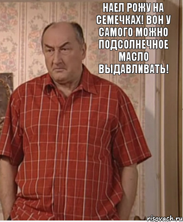 Наел рожу на семечках! Вон у самого можно подсолнечное масло выдавливать!, Комикс Николай Петрович Воронин