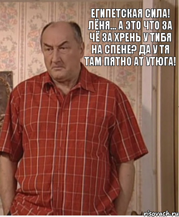 Египетская сила! Лёня... а это что за чё за хрень у тибя на спене? Да у тя там пятно ат утюга!