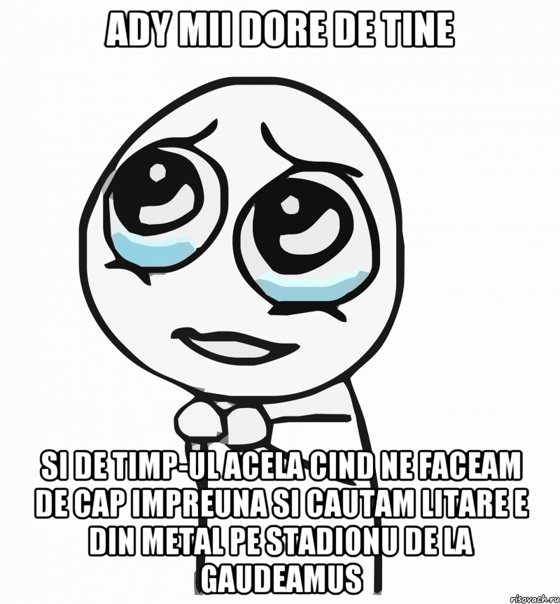 Ady mii dore de tine Si de timp-ul acela cind ne faceam de cap impreuna si cautam litare E din metal pe stadionu de la gaudeamus, Мем  ну пожалуйста (please)