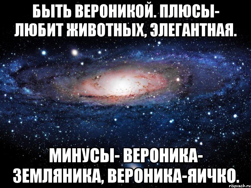 Быть Вероникой. Плюсы- любит животных, элегантная. Минусы- Вероника- земляника, Вероника-яичко., Мем Вселенная