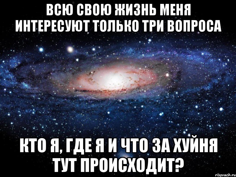 Всю свою жизнь меня интересуют только три вопроса Кто я, где я и что за хуйня тут происходит?, Мем Вселенная