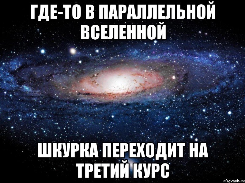 где-то в параллельной вселенной Шкурка переходит на третий курс, Мем Вселенная