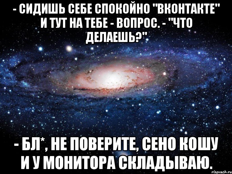 - Сидишь себе спокойно "Вконтакте" и тут на тебе - вопрос. - "Что делаешь?" - Бл*, не поверите, сено кошу и у монитора складываю., Мем Вселенная