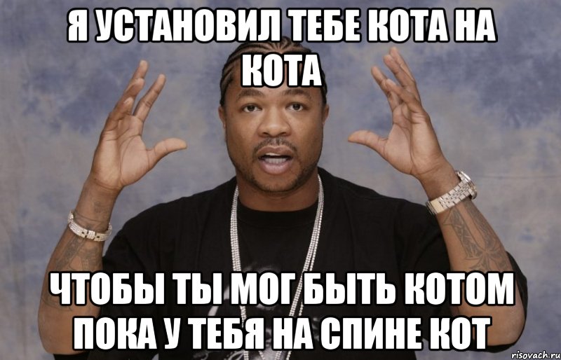 Я установил тебе кота на кота Чтобы ты мог быть котом пока у тебя на спине кот, Мем Xzibit