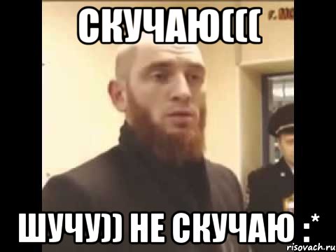 СКУЧАЮ((( ШУЧУ)) НЕ СКУЧАЮ :*, Мем Шучу