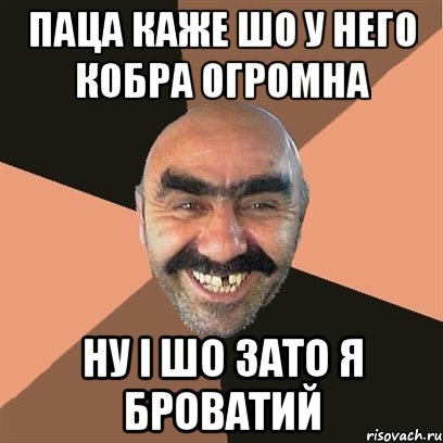 ПАЦА КАЖЕ ШО У НЕГО КОБРА ОГРОМНА НУ І ШО ЗАТО Я БРОВАТИЙ, Мем Я твой дом труба шатал