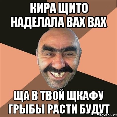 кира щито наделала вах вах ща в твой щкафу грыбы расти будут, Мем Я твой дом труба шатал