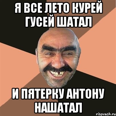 я все лето курей гусей шатал и пятерку Антону нашатал, Мем Я твой дом труба шатал