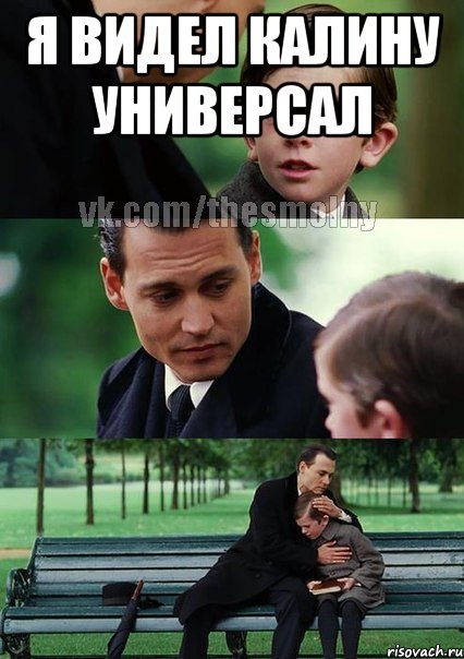 я видел калину универсал 